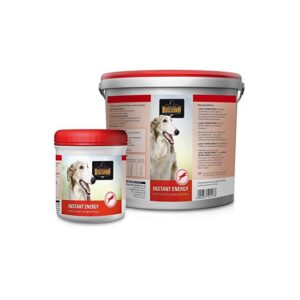 BELCANDO INSTANT ENERGY Hundefutter & Zubehör Hunde & Katzen Tiernahrung von Belcando und Leonardo